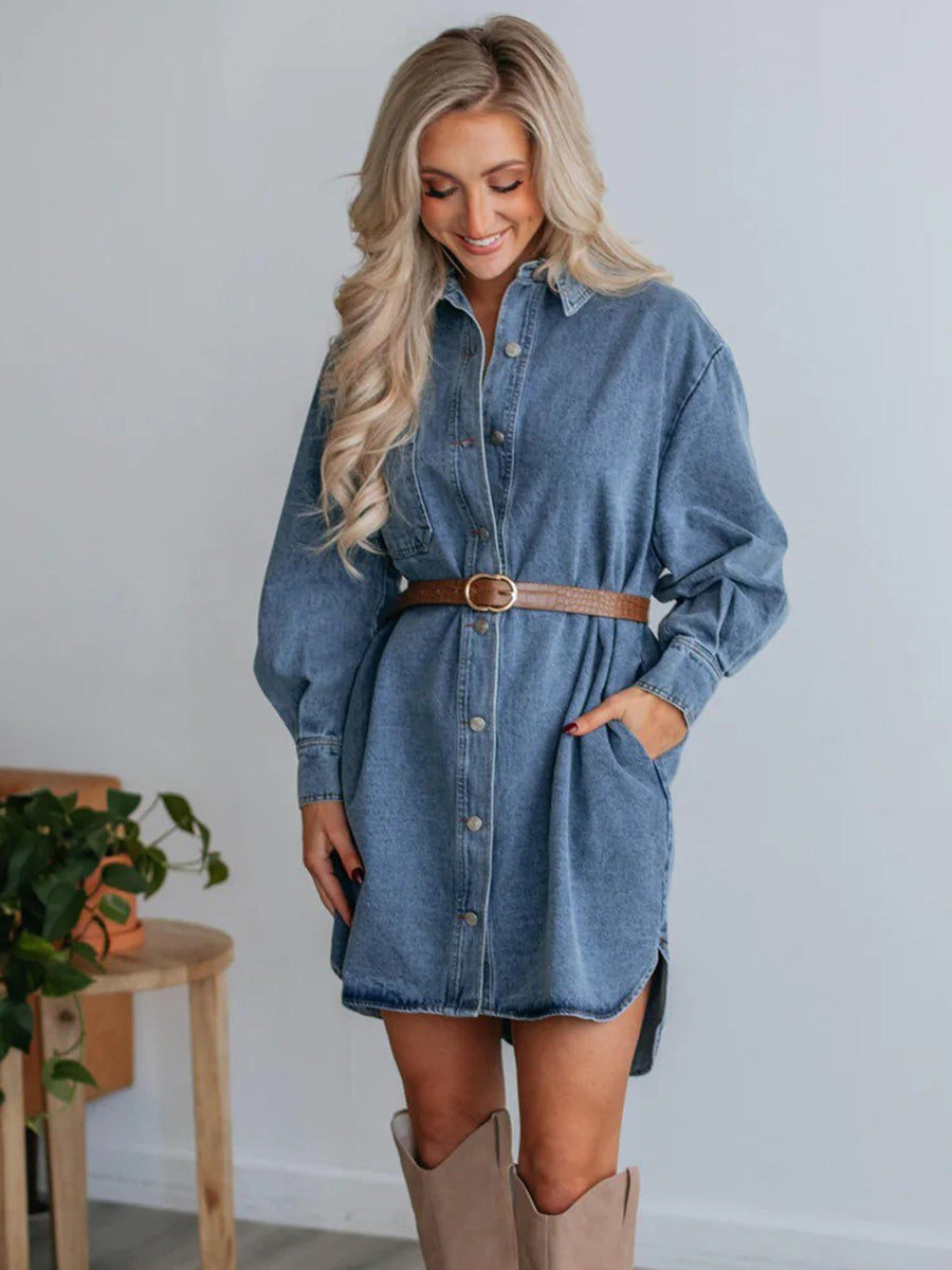 Button Up Collared Neck Long Sleeve Denim Dress